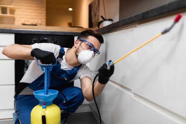 Best Pest Control for Restaurants  in Eden Isle, LA