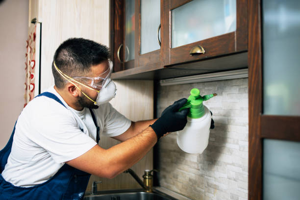 Trusted Eden Isle, LA Pest Control Experts