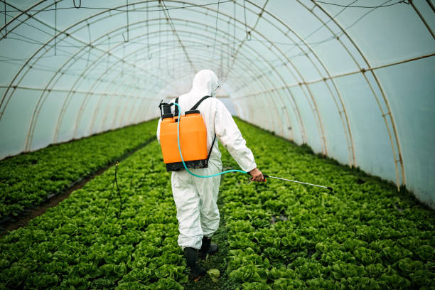 Best Pest Inspection Near Me  in Eden Isle, LA