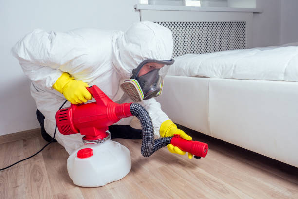 Best Residential Pest Control  in Eden Isle, LA