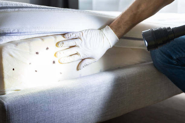 Professional Pest Control in Eden Isle, LA