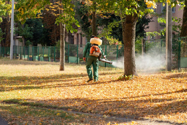 Pest Control for Restaurants in Eden Isle, LA